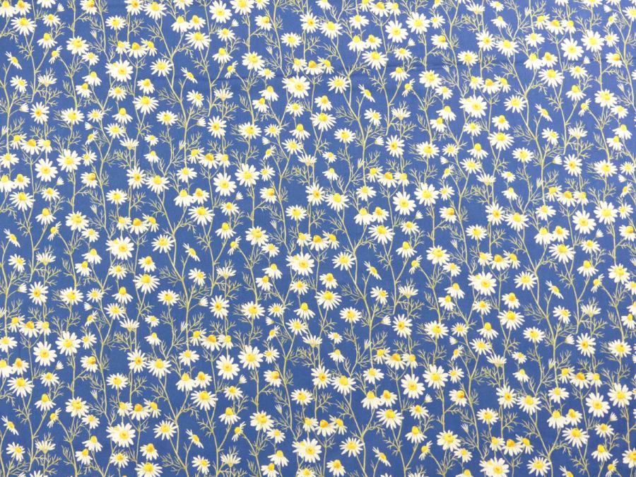 Preview: Hedgehog Hollow Blumen Gänseblümchen Daisies blau von In the Beginning